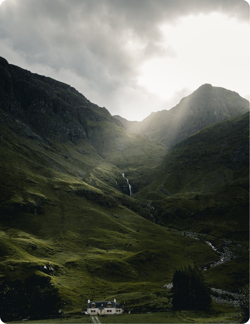 Meadows & Mountains